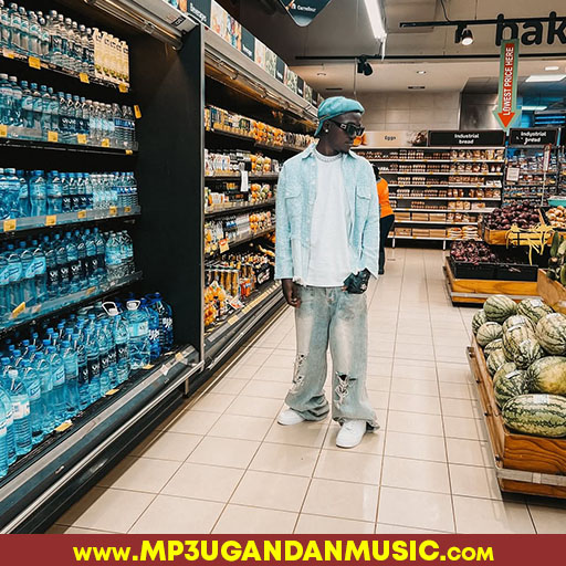 Malaika Ankuuma - Dokta Brain mp3ugandanmusic.com