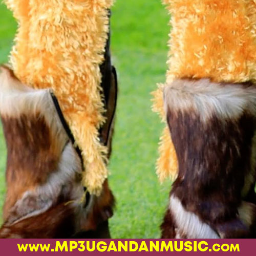 Embuzi-Nandor Love mp3ugandanmusic.com