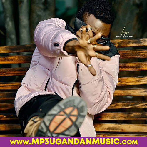 Amaaso-Pallaso x Radio & Weasel