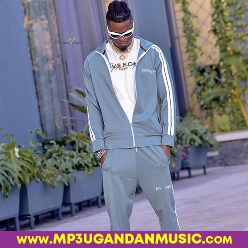 Calamity-Pallaso x Nita Nita