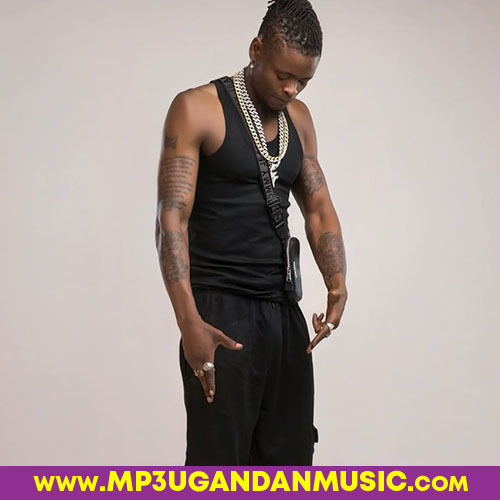 Omutima Gugwo-Pallaso x Chameleon