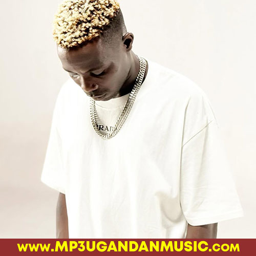 Amanyi Manji-Lil Pazo, Vally Music