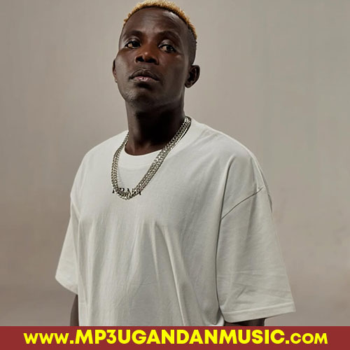 Birevu-Lil Pazo mp3ugandanmusic.com