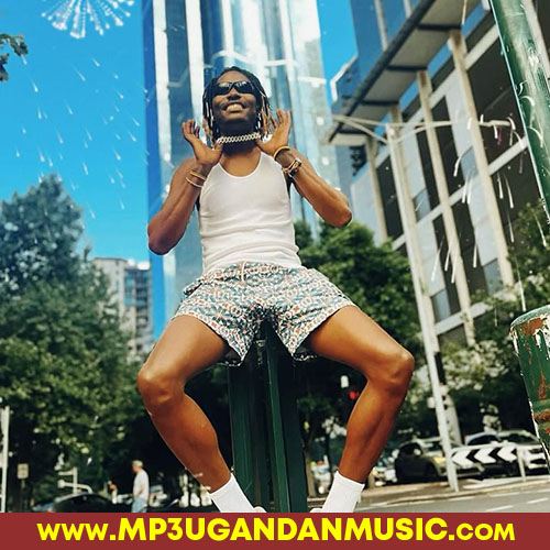 Idege-Tip Swizzy & Wizkeeber