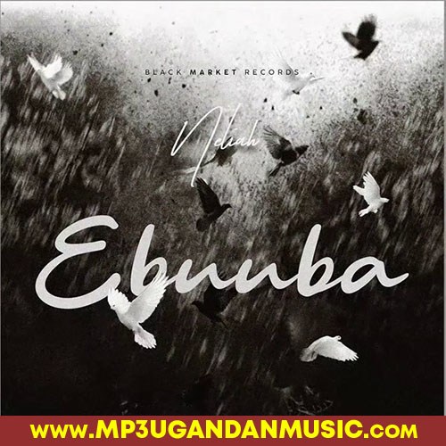 Ebuba - Neliah MP3UG Music