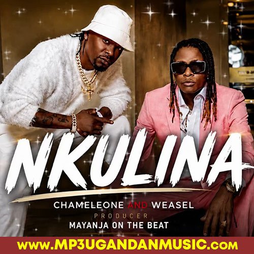 Nkulina - Weasel and Chameleone