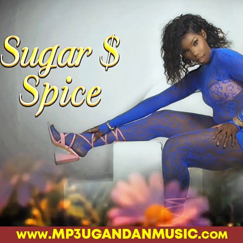 Sugar and Spice - Shena Skies MP3UG Music